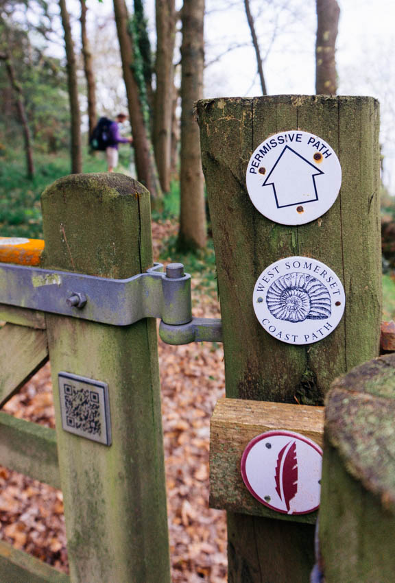 The Coleridge Way | 1 | What if we walked, and hobbled a bit too?