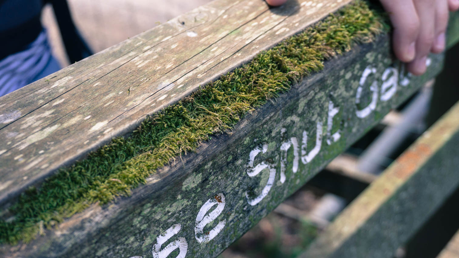 The Coleridge Way | 2 | The Man from Porlock