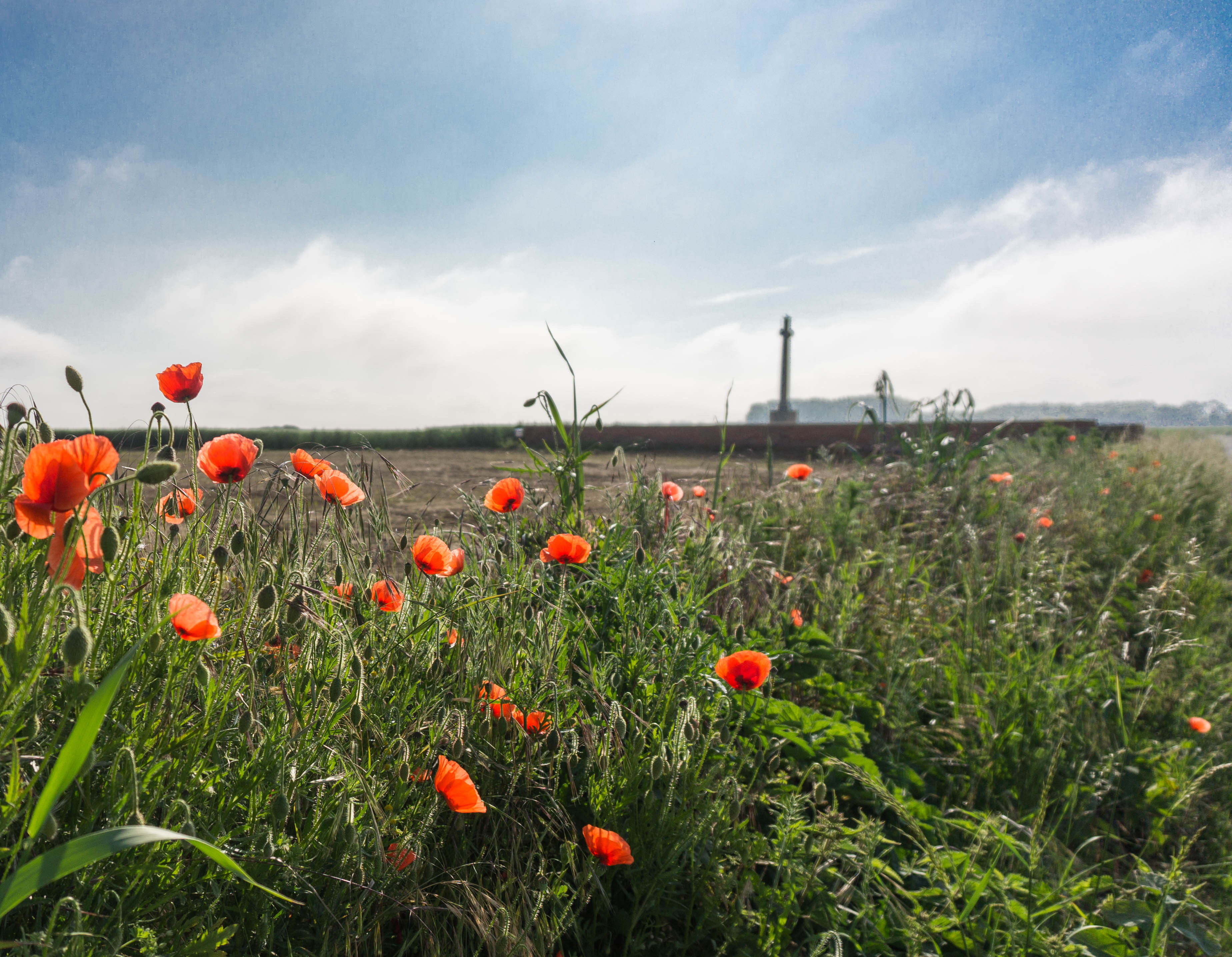 Via Francigena | 3 | The Remembrance Trail