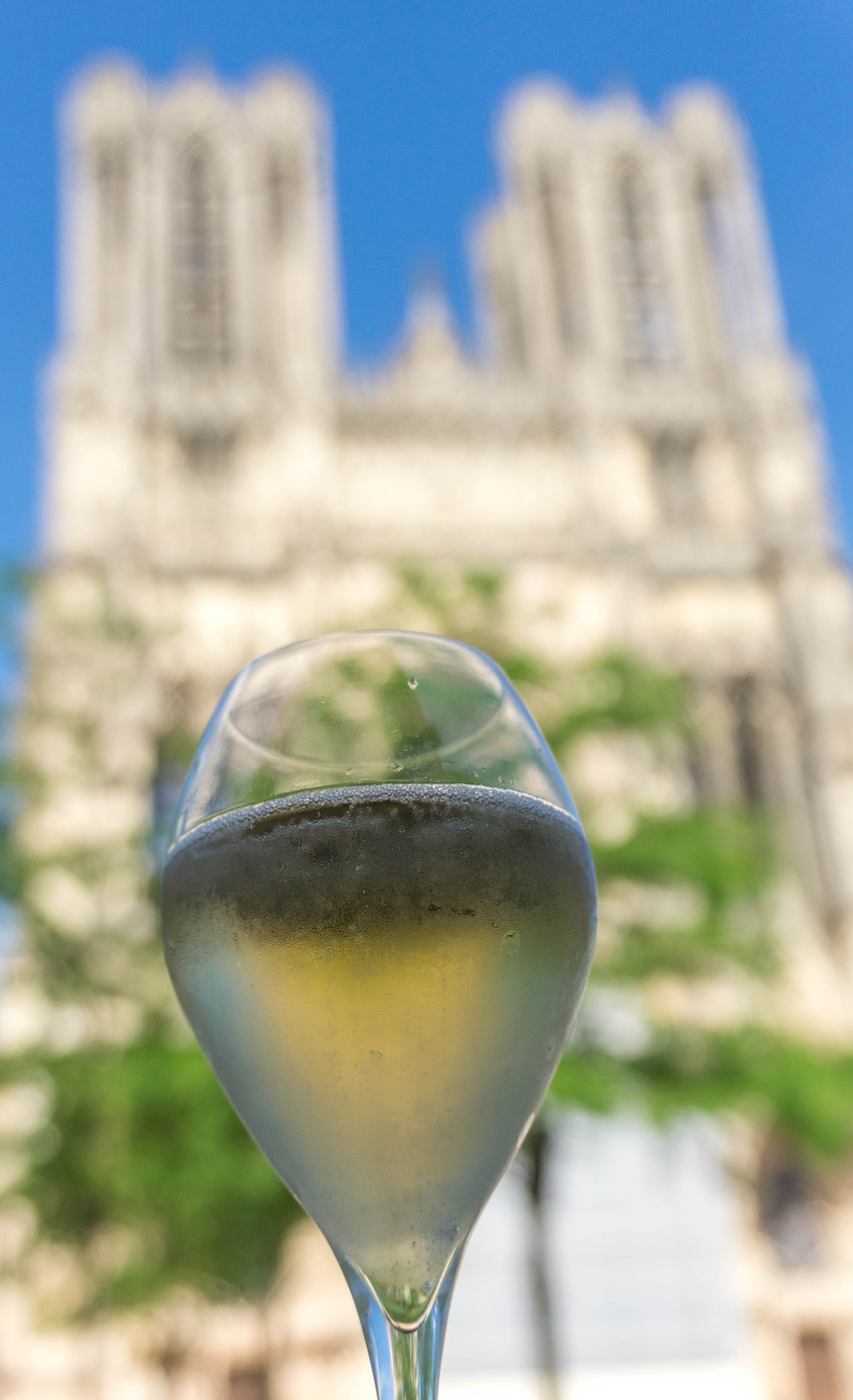 Champagne Via Francigena Reims Cathedral