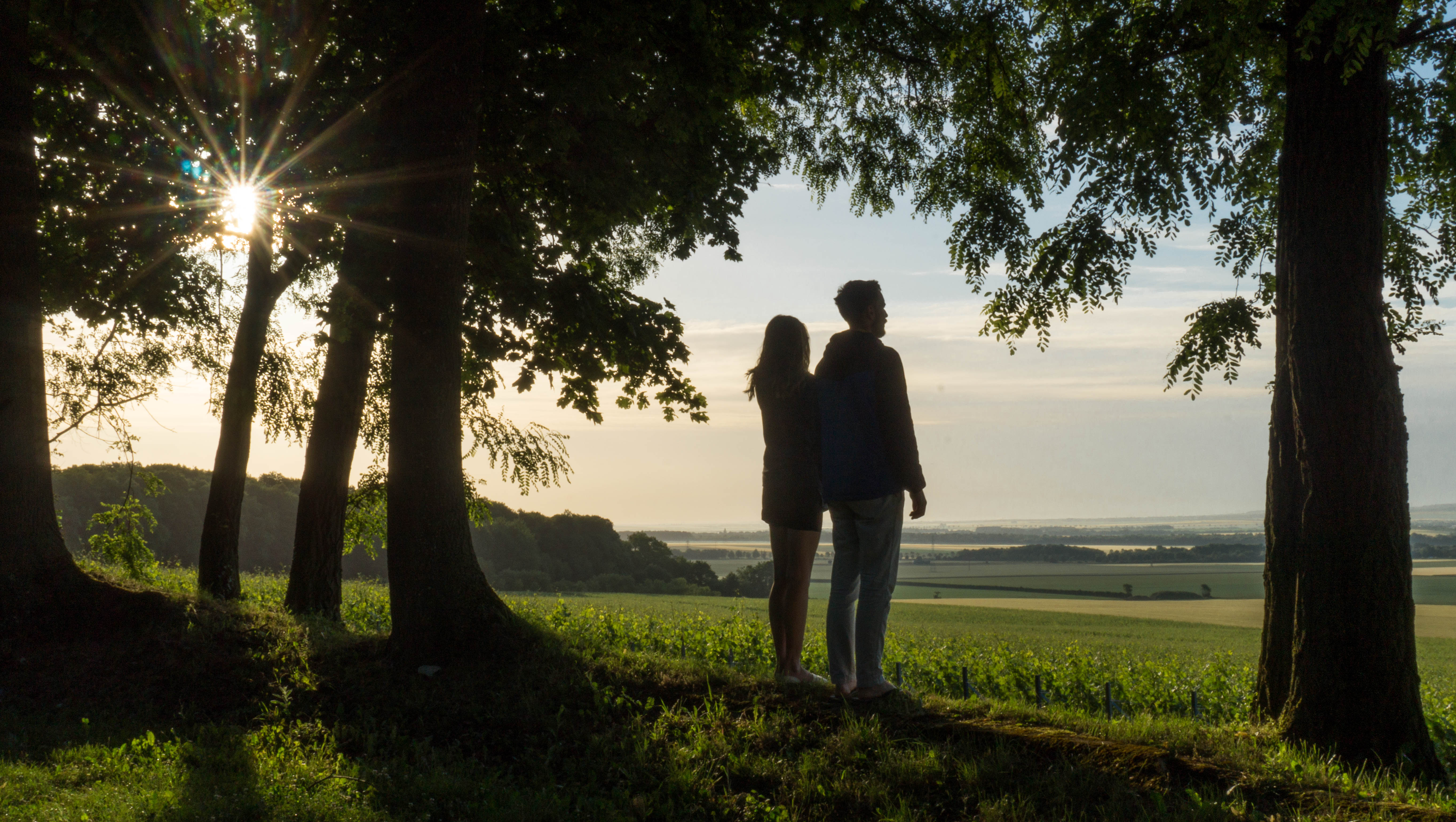 Via Francigena | 4 | The Hollywood Walk of Champagne