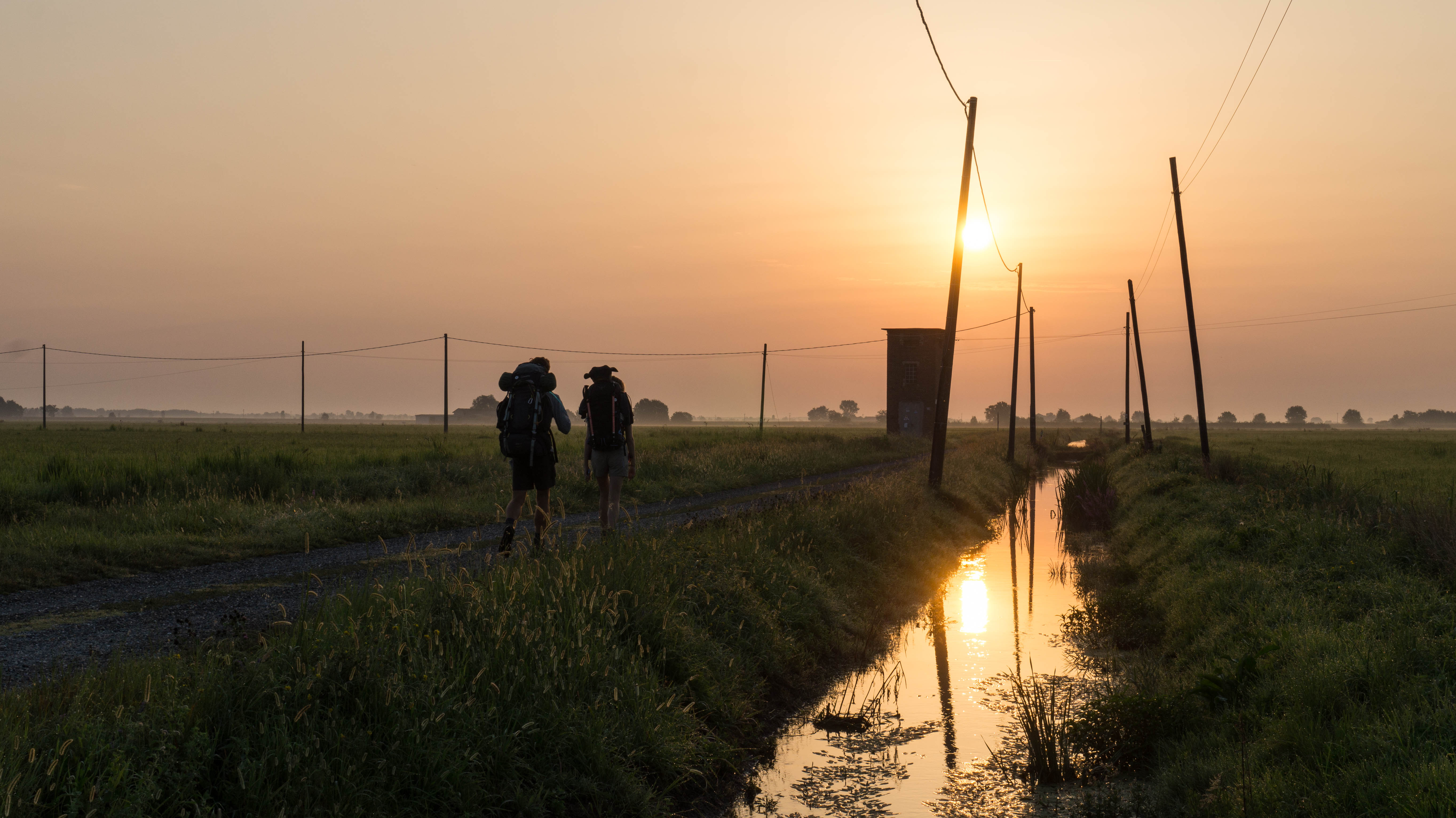 Via Francigena | 9 | Finding beauty in the Vercelli rice fields