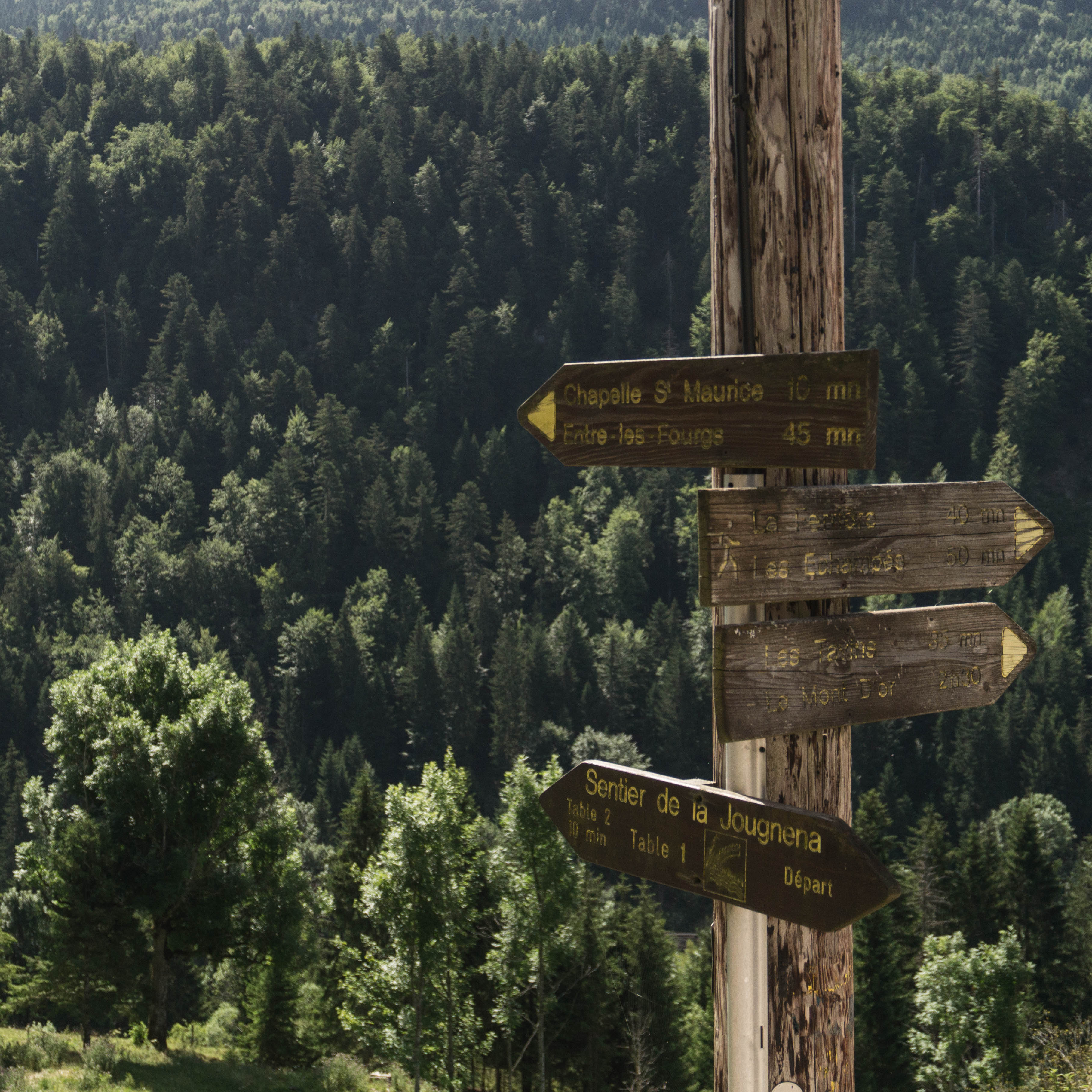 Our Via Francigena Guide | updated 2020