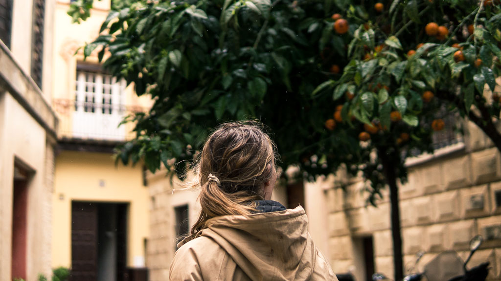What to do in rainy Seville