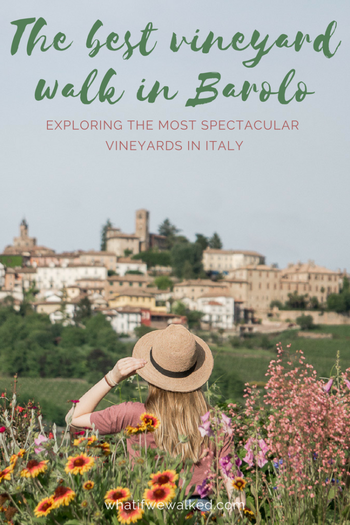 The Best Vineyard Walk In Barolo - What If We Walked?