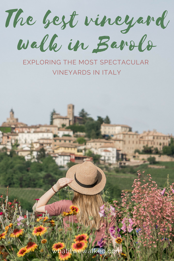 Best vineyard walk in Barolo