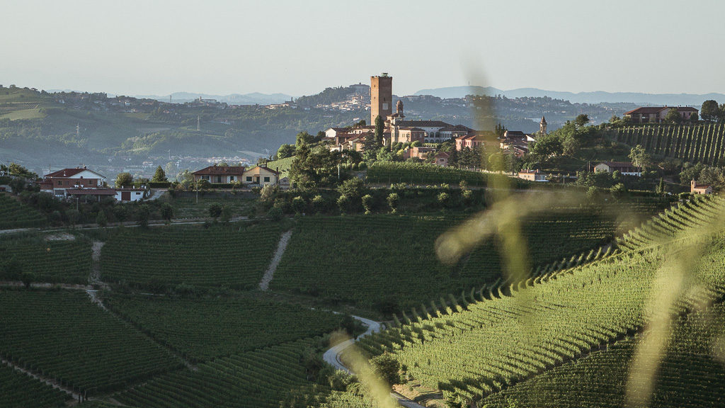 best vineyard walk in Barolo