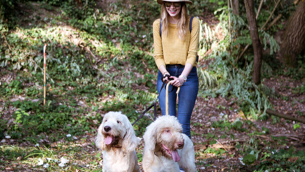 We’re going on a Piedmont truffle hunt