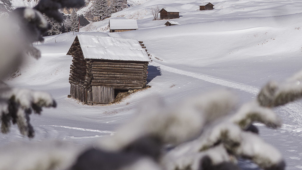 A winter wondlerand waiting to be discovered on snowshoes (picture from Italy)