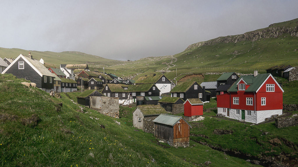 Visiting the Mykines puffins means you also get to visit the village of 10 residents on Mykines. Landscape image of the village with turf roof houses and lots of red painted wood too.