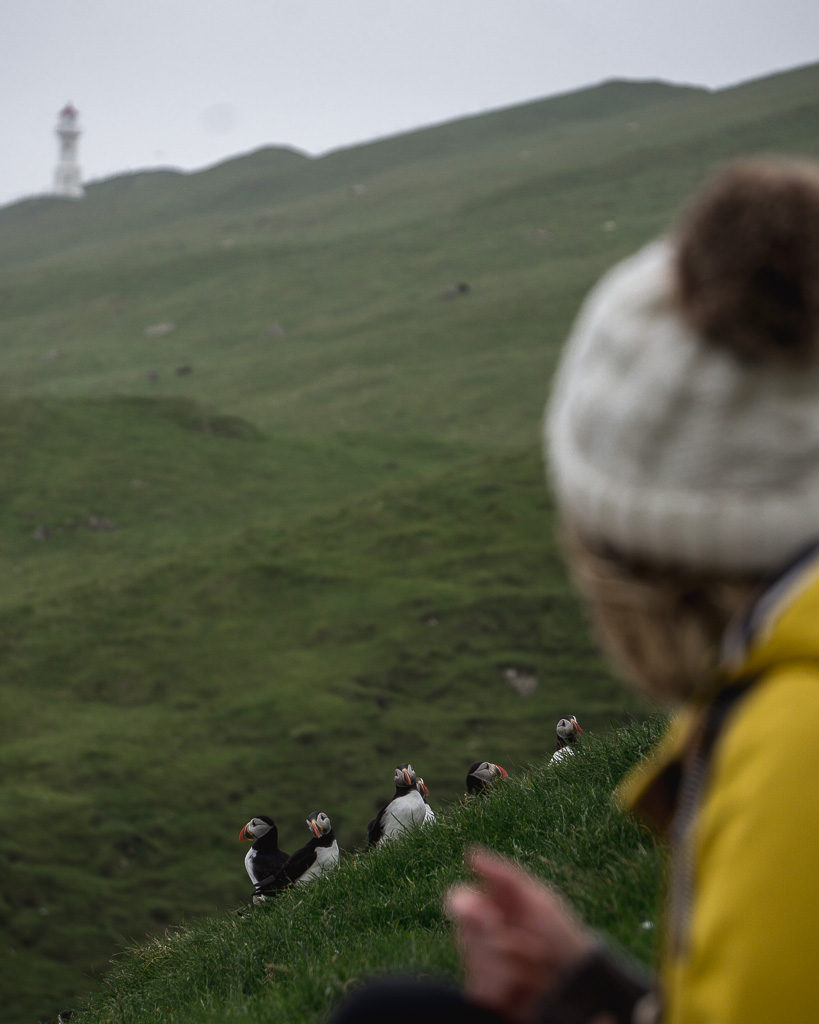 Visiting the Mykines puffins is the best day out in the Faroe Islands. Here's Nell sitting feet away from a little group with the lighthouse as a backdrop.